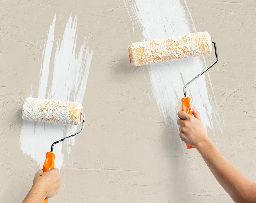 Person with paint samples